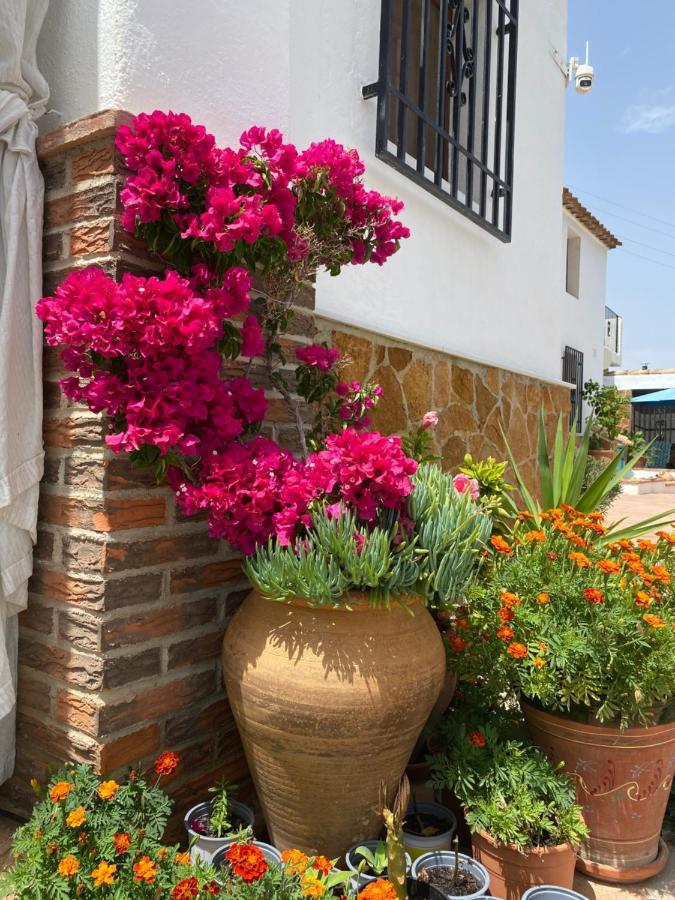 Cortijo Perejil, A Tranquil Mountain Escape & Private Pool Apartment Oria Exterior photo