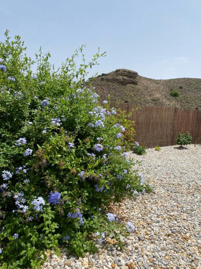 Cortijo Perejil, A Tranquil Mountain Escape & Private Pool Apartment Oria Exterior photo